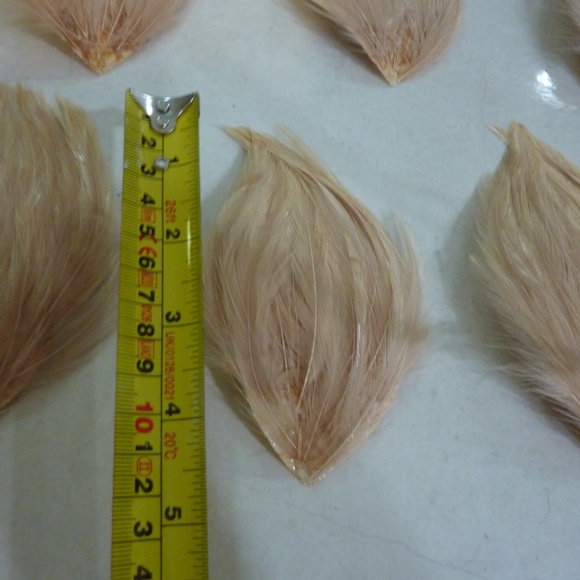 HONG KONG Vintage FEATHER BIRDS  BEIGE  LOT OF 6  For Crafting Etc - Picture 4 of 6